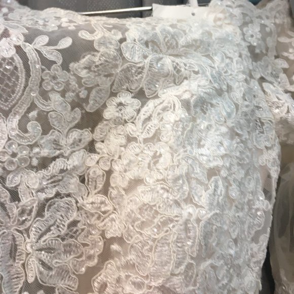 NWT Poet Sleeve Lace Blush/Ivory Wedding Dress - Picture 14 of 16